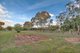 Photo - 14 Gartrell Road, Macdonald Park SA 5121 - Image 33