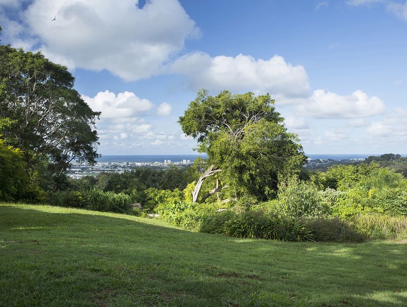 Photo - 14 Golf Street, Buderim QLD 4556 - Image 2