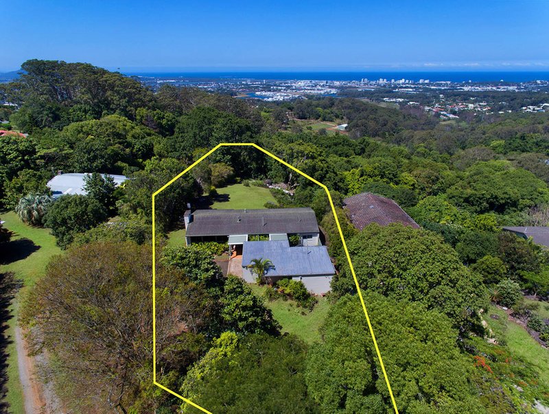 Photo - 14 Golf Street, Buderim QLD 4556 - Image 6