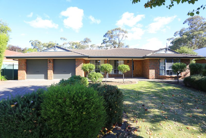 14 Gooden Drive, Nuriootpa SA 5355