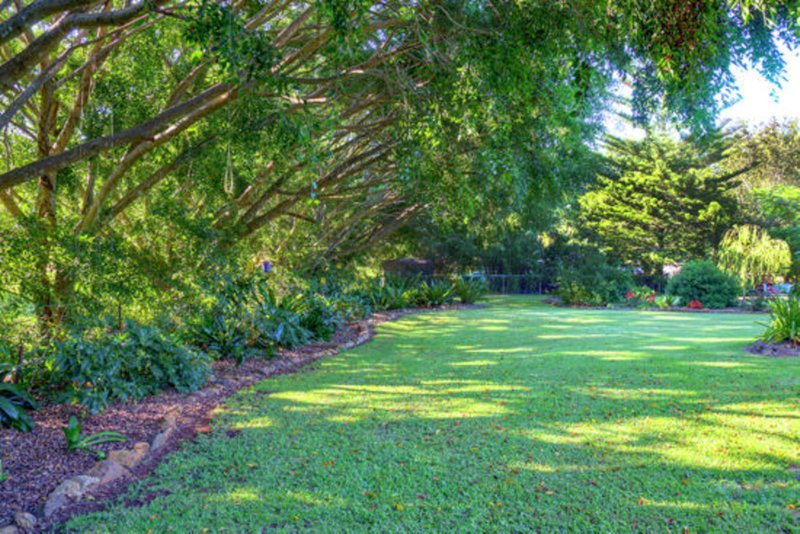 Photo - 14 Grandview Road, Balmoral Ridge QLD 4552 - Image 5