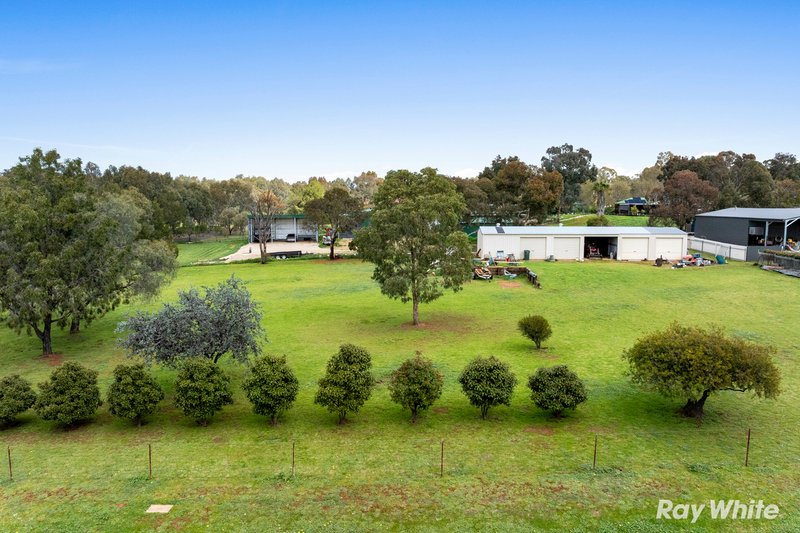Photo - 14 Gwynne Place, Junee NSW 2663 - Image 1