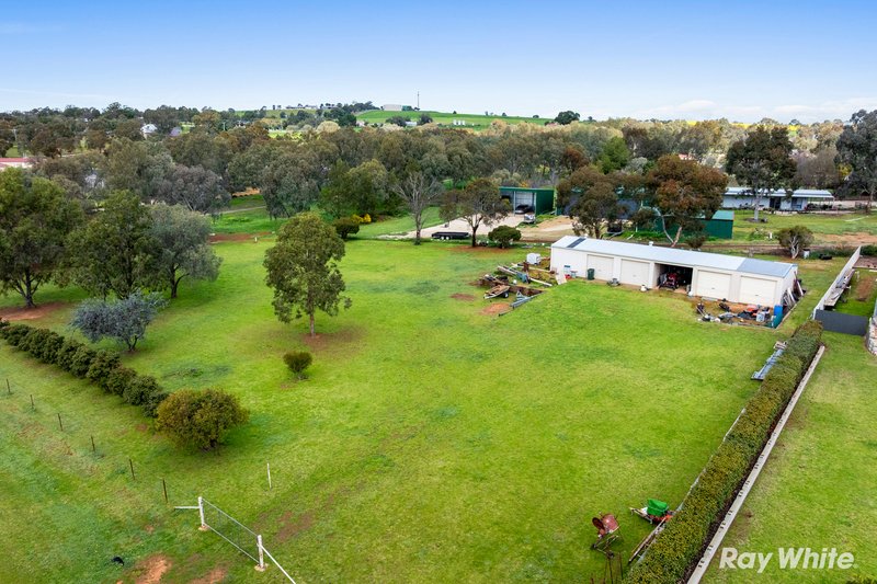 Photo - 14 Gwynne Place, Junee NSW 2663 - Image 2