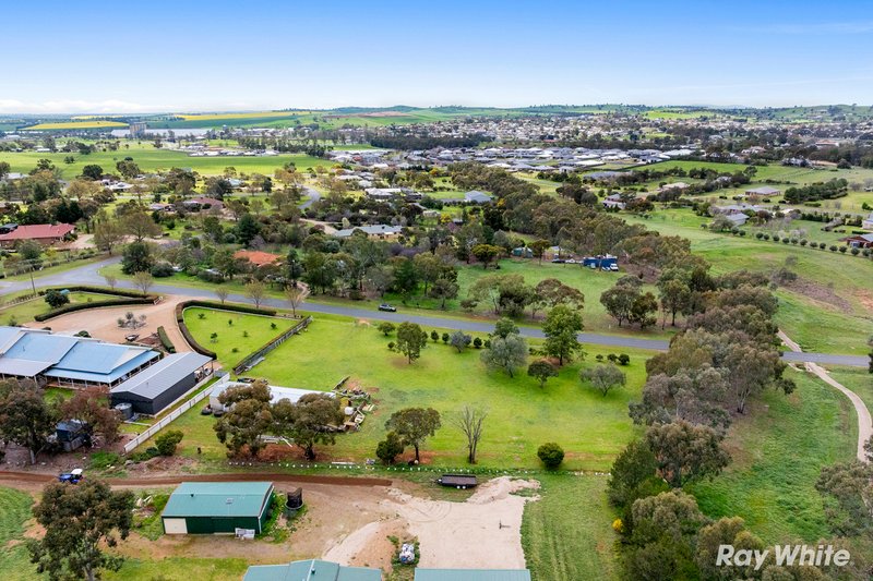 Photo - 14 Gwynne Place, Junee NSW 2663 - Image 5