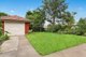 Photo - 14 Hamilton Street, North Strathfield NSW 2137 - Image 6