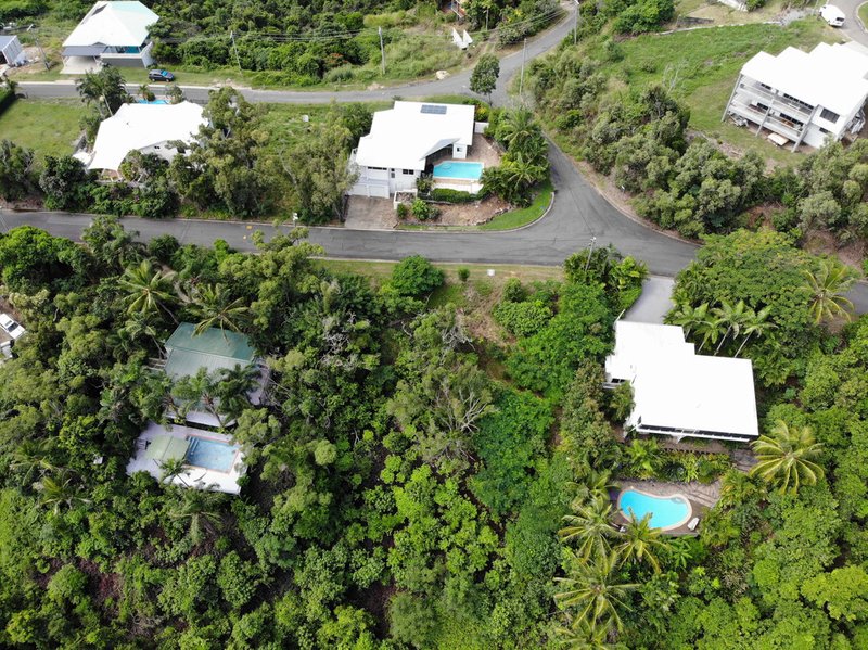 Photo - 14 Harbour Avenue, Shute Harbour QLD 4802 - Image 4