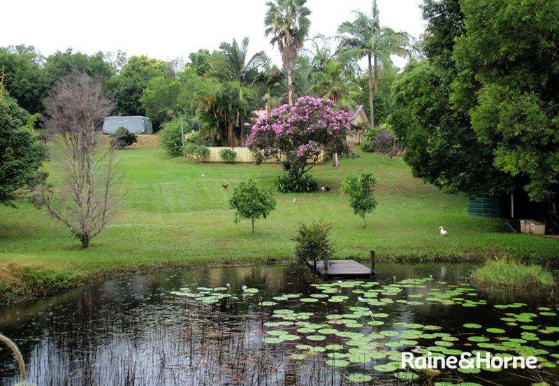 Photo - 14 Havenside Court, Pomona QLD 4568 - Image 13