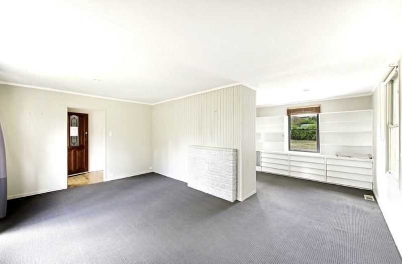 Photo - 14 Hawdon Street, Ainslie ACT 2602 - Image 4