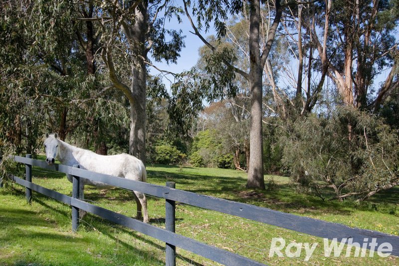 Photo - 14 Henry Road, Bunyip VIC 3815 - Image 12