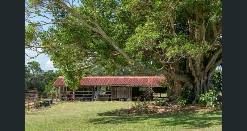 Photo - 14 Hideaway Lane, Glenview QLD 4553 - Image 31