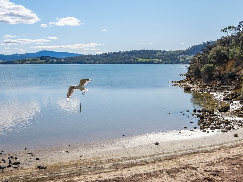 Photo - 1/4 Higson Street, Midway Point TAS 7171 - Image 25