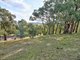 Photo - 14 Hoppner Street, Bruthen VIC 3885 - Image 21