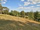 Photo - 14 Hoppner Street, Bruthen VIC 3885 - Image 22