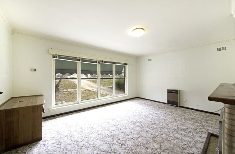 Photo - 14 Hovea Street, O'Connor ACT 2602 - Image 5