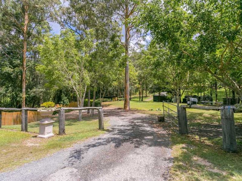 Photo - 14 Hugh Guinea Court, Worongary QLD 4213 - Image 14