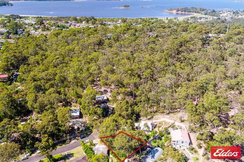 Photo - 14 Ibis Place, Catalina NSW 2536 - Image 4