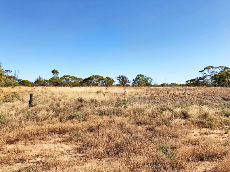 Photo - 14 King Street, Werrimull VIC 3496 - Image 2