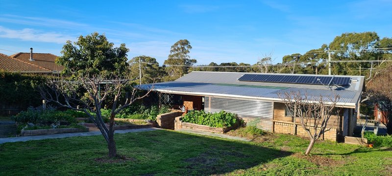 Photo - 14 Lawry Heights, St Helens TAS 7216 - Image 11