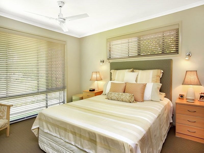 Photo - 14 Lee Street, Buderim QLD 4556 - Image 6