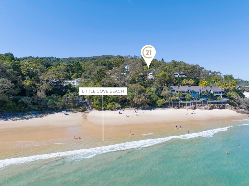 Photo - 14 Little Cove Road, Noosa Heads QLD 4567 - Image 3