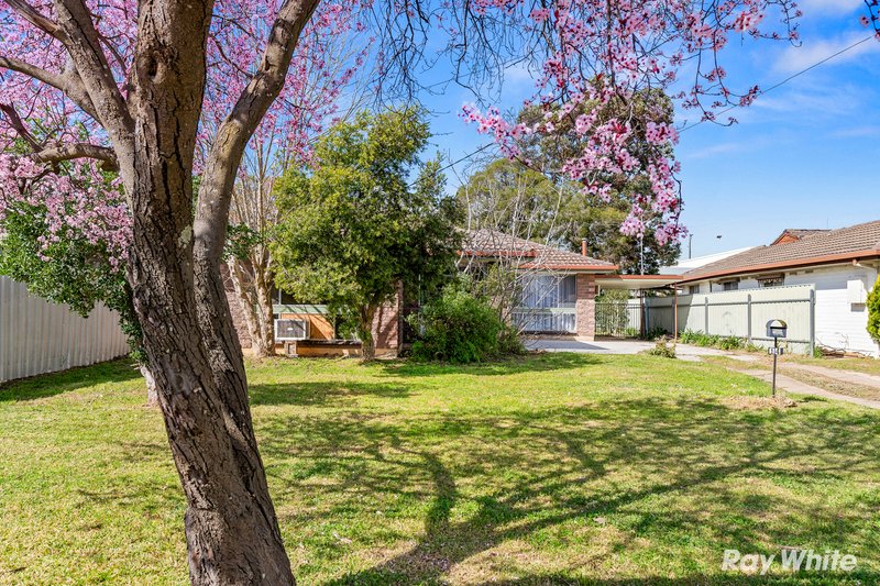 14 Lonergan Place, Wagga Wagga NSW 2650