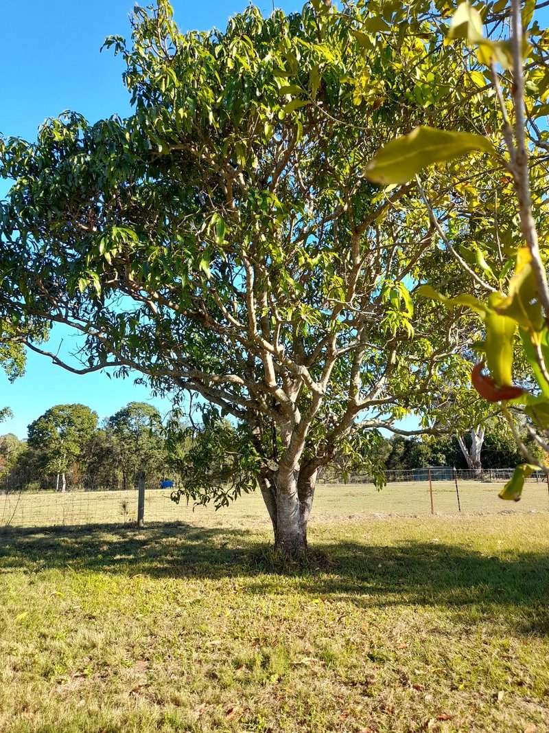 Photo - 14 (lot 2) Alzino Court, Caboolture QLD 4510 - Image 8