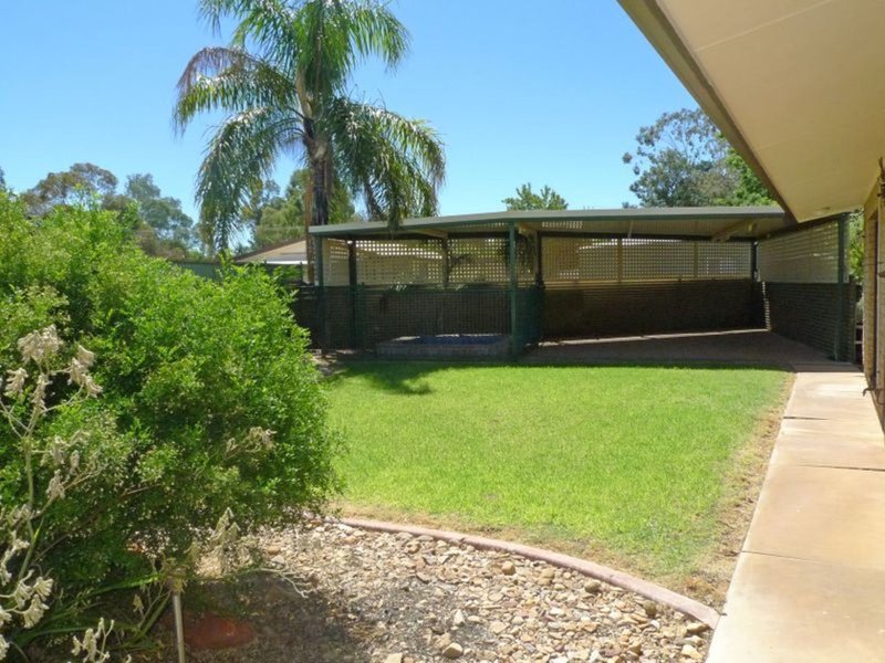 Photo - 14 Lovegrove Drive, Araluen NT 0870 - Image 12