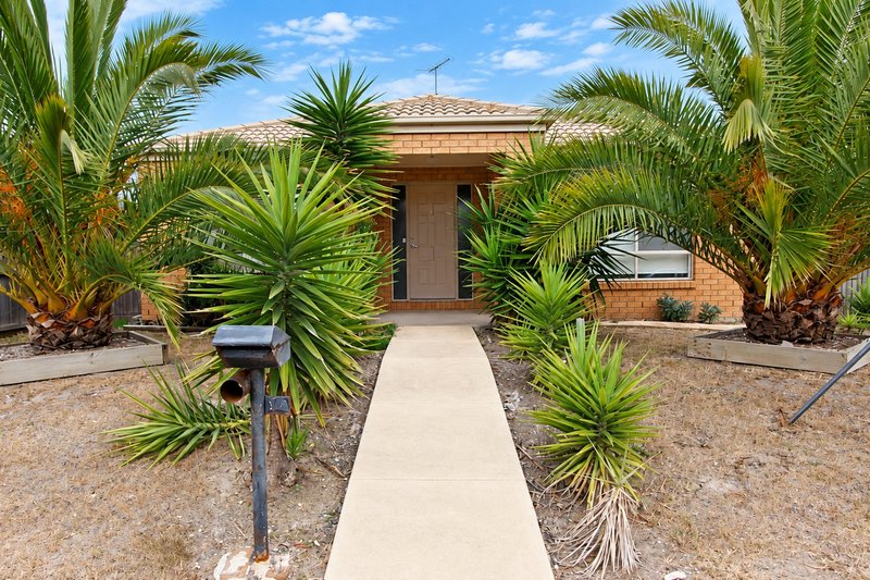 Photo - 14 Macfarlane Street, Marshall VIC 3216 - Image 1
