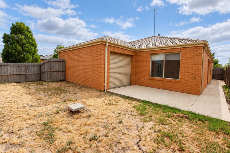 Photo - 14 Macfarlane Street, Marshall VIC 3216 - Image 12