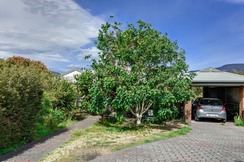 Photo - 14 Maddelena Court, Old Beach TAS 7017 - Image 5