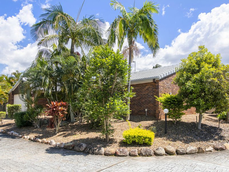 Photo - 1/4 Madsen Place, Southport QLD 4215 - Image 17