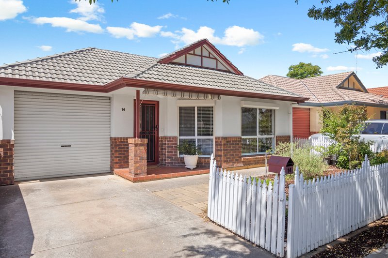 Photo - 14 Maldon Avenue, Mitchell Park SA 5043 - Image 6