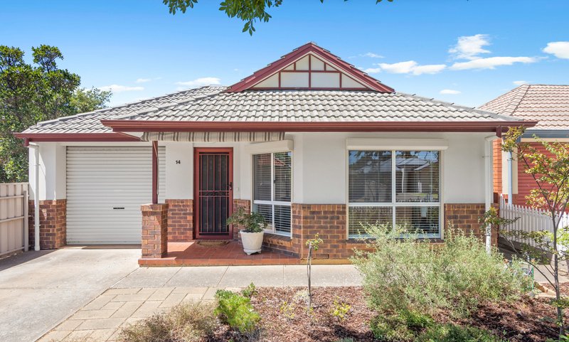 Photo - 14 Maldon Avenue, Mitchell Park SA 5043 - Image 23