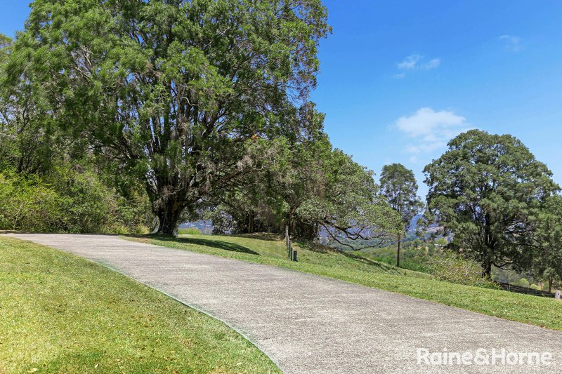 Photo - 14 Monomeet Close, Eumundi QLD 4562 - Image 7