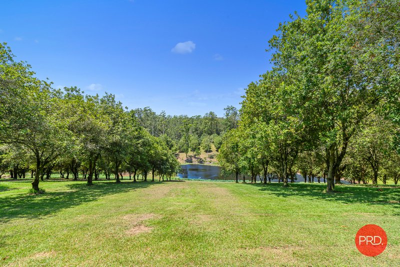 Photo - 14 Morningside Drive, Valla NSW 2448 - Image 17