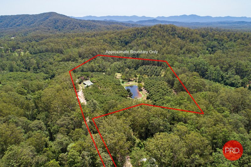 Photo - 14 Morningside Drive, Valla NSW 2448 - Image 24