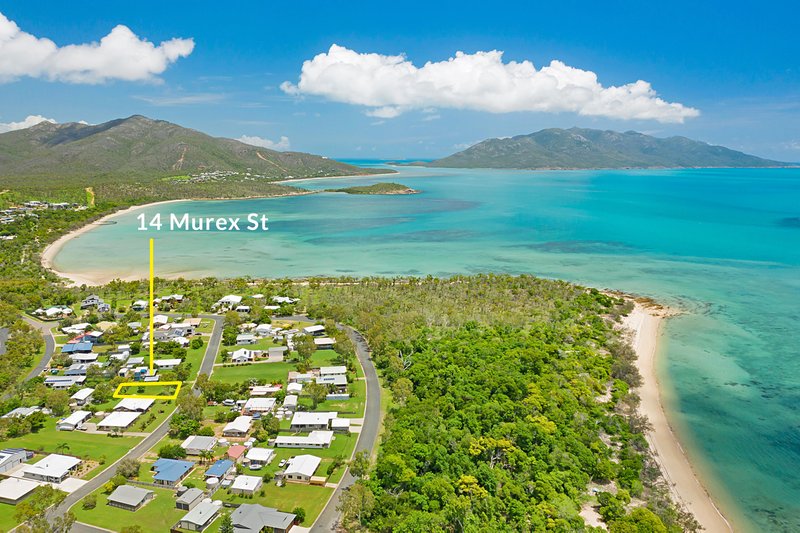 14 Murex Street, Dingo Beach QLD 4800