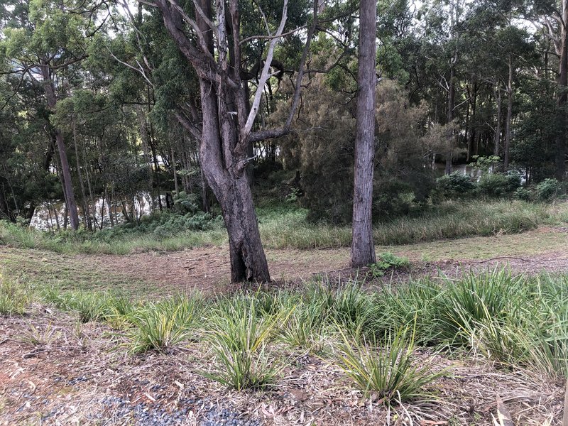 Photo - 14 Parkland Pde , Coffs Harbour NSW 2450 - Image 6