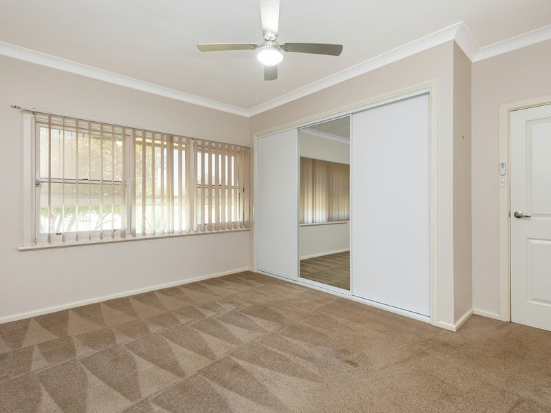 Photo - 14 Parry Street, West Tamworth NSW 2340 - Image 6