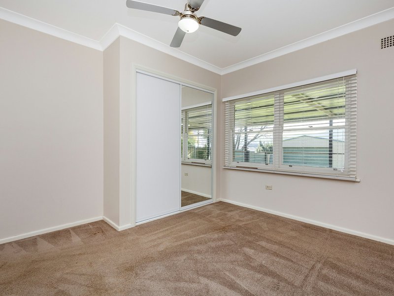 Photo - 14 Parry Street, West Tamworth NSW 2340 - Image 7