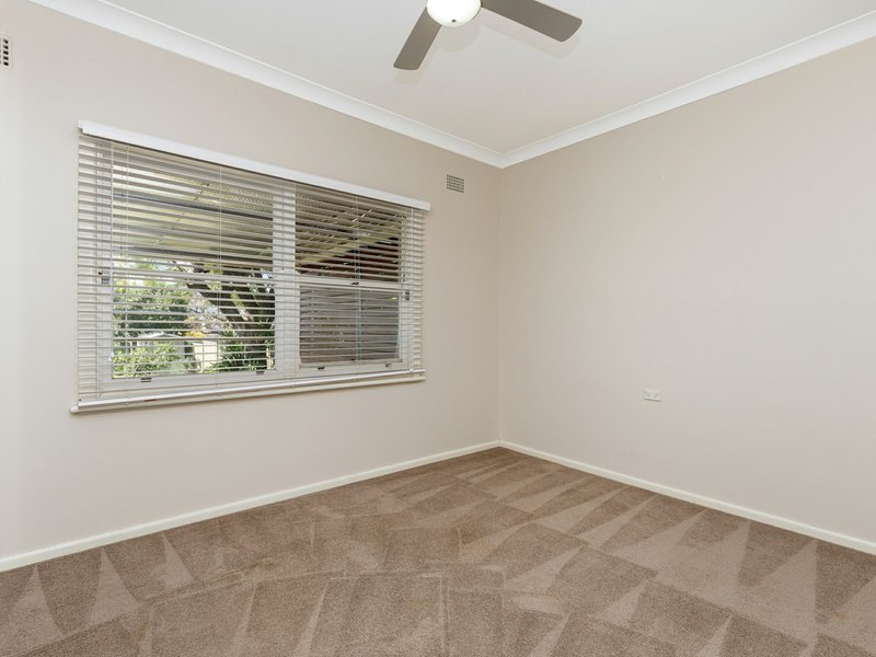 Photo - 14 Parry Street, West Tamworth NSW 2340 - Image 8