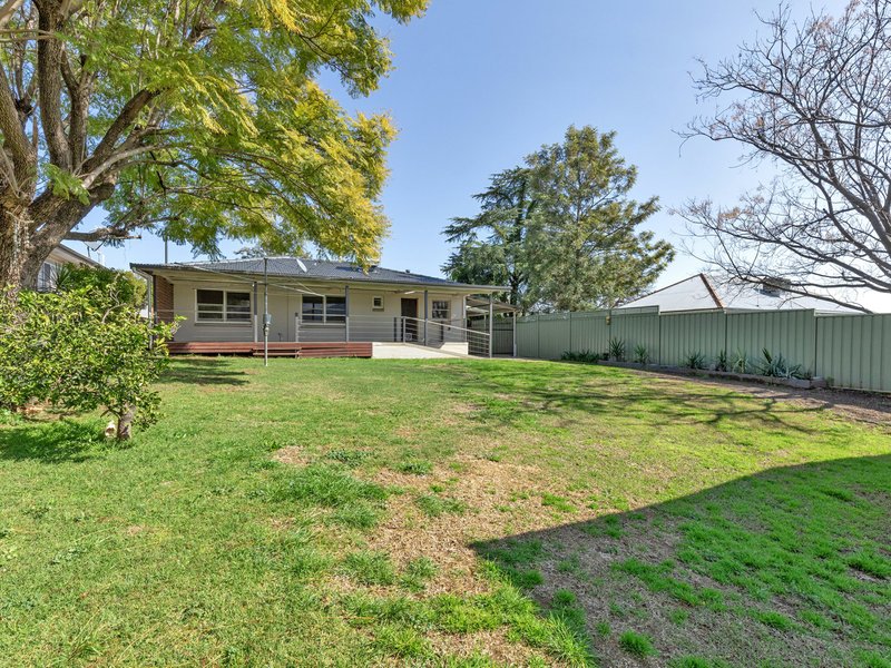 Photo - 14 Parry Street, West Tamworth NSW 2340 - Image 11