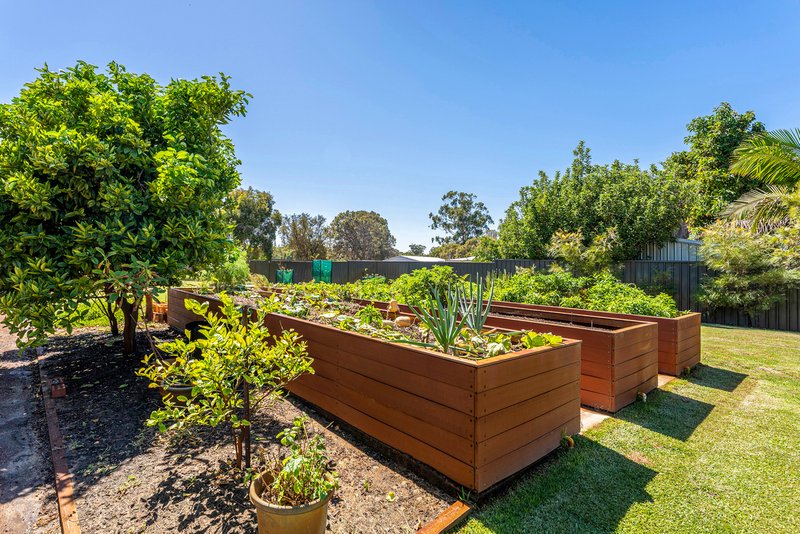 Photo - 14 Paull Street, Furnissdale WA 6209 - Image 35