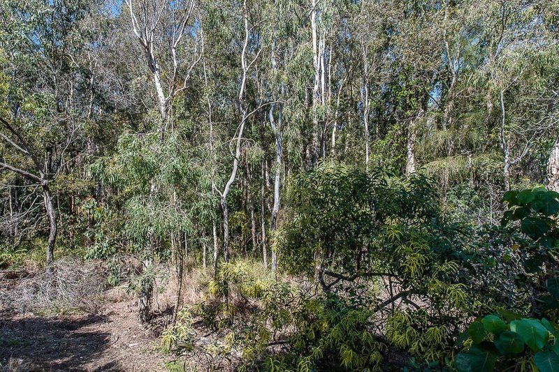 Photo - 14 Peatling Lane, Twin Waters QLD 4564 - Image 18