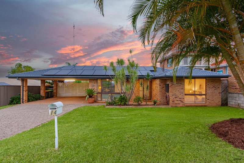 Photo - 14 Peppermint Place, Banora Point NSW 2486 - Image 19