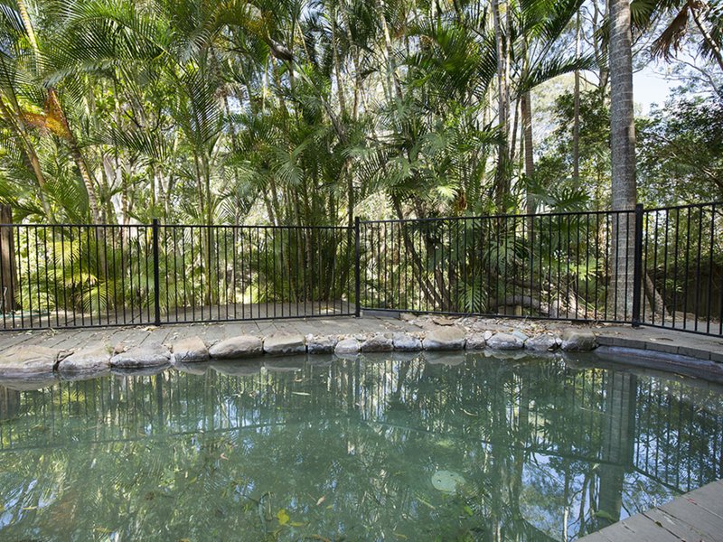 Photo - 14 Phillips Street, Buderim QLD 4556 - Image 3