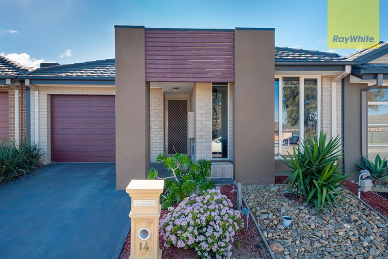 14 Rainham Avenue, Craigieburn VIC 3064