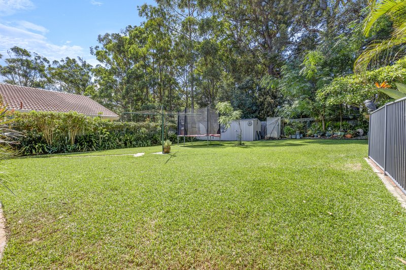 Photo - 14 Ringtail Close, Lakewood NSW 2443 - Image 4