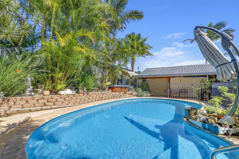 Photo - 14 Ringtail Close, Lakewood NSW 2443 - Image 6