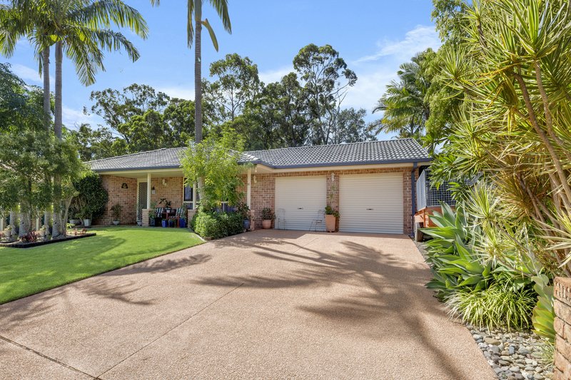 Photo - 14 Ringtail Close, Lakewood NSW 2443 - Image 18